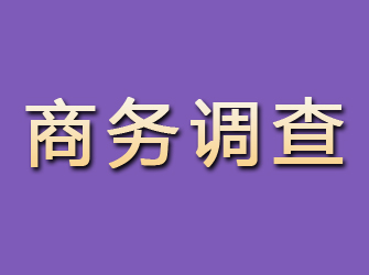 永平商务调查